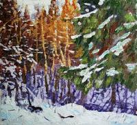 Rudnik Winter forest Пейзаж